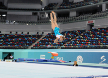 İdman gimnastikası, akrobatika və tamblinq üzrə birgə yarışların ilk gününün qalibləri müəyyənləşib. Bakı, Azərbaycan, 06 avqustç 2014