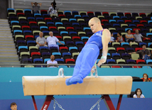 İdman gimnastikası, akrobatika və tamblinq üzrə birgə yarışların ikinci günü. Bakı, Azərbaycan, 07 avqust 2014