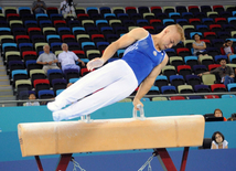 İdman gimnastikası, akrobatika və tamblinq üzrə birgə yarışların ikinci günü. Bakı, Azərbaycan, 07 avqust 2014