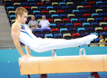 İdman gimnastikası, akrobatika və tamblinq üzrə birgə yarışların ikinci günü. Bakı, Azərbaycan, 07 avqust 2014