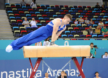 İdman gimnastikası, akrobatika və tamblinq üzrə birgə yarışların ikinci günü. Bakı, Azərbaycan, 07 avqust 2014