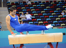 İdman gimnastikası, akrobatika və tamblinq üzrə birgə yarışların ikinci günü. Bakı, Azərbaycan, 07 avqust 2014