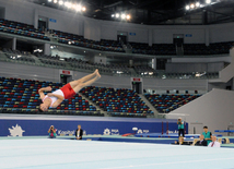 İdman gimnastikası, akrobatika və tamblinq üzrə birgə yarışların ikinci günü. Bakı, Azərbaycan, 07 avqust 2014