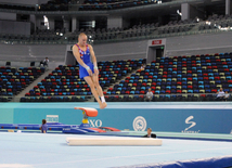 İdman gimnastikası, akrobatika və tamblinq üzrə birgə yarışların ikinci günü. Bakı, Azərbaycan, 07 avqust 2014