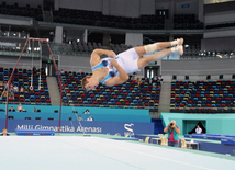 İdman gimnastikası, akrobatika və tamblinq üzrə birgə yarışların ikinci günü. Bakı, Azərbaycan, 07 avqust 2014