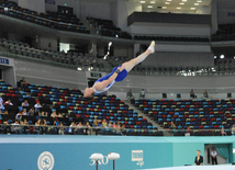 İdman gimnastikası, akrobatika və tamblinq üzrə birgə yarışların ikinci günü. Bakı, Azərbaycan, 07 avqust 2014