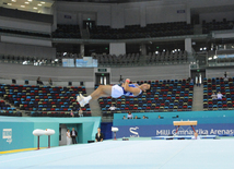 İdman gimnastikası, akrobatika və tamblinq üzrə birgə yarışların ikinci günü. Bakı, Azərbaycan, 07 avqust 2014