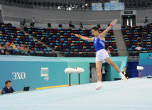 İdman gimnastikası, akrobatika və tamblinq üzrə birgə yarışların ikinci günü. Bakı, Azərbaycan, 07 avqust 2014