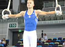 İdman gimnastikası, akrobatika və tamblinq üzrə birgə yarışların ikinci günü. Bakı, Azərbaycan, 07 avqust 2014