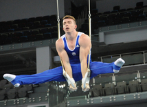 İdman gimnastikası, akrobatika və tamblinq üzrə birgə yarışların ikinci günü. Bakı, Azərbaycan, 07 avqust 2014