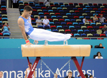 İdman gimnastikası, akrobatika və tamblinq üzrə birgə yarışların ikinci günü. Bakı, Azərbaycan, 07 avqust 2014