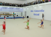 Gimnastika axşamı. Bakı, Azərbaycan, 14 oktyabr 2014