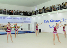 Gimnastika axşamı. Bakı, Azərbaycan, 14 oktyabr 2014