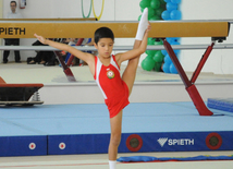 Gimnastika axşamı. Bakı, Azərbaycan, 14 oktyabr 2014