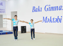 Gimnastika axşamı. Bakı, Azərbaycan, 14 oktyabr 2014