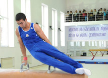 Gimnastika axşamı. Bakı, Azərbaycan, 14 oktyabr 2014