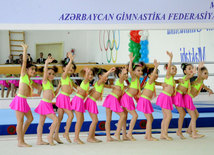 Gimnastika axşamı. Bakı, Azərbaycan, 14 oktyabr 2014