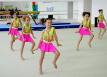 Gimnastika axşamı. Bakı, Azərbaycan, 14 oktyabr 2014