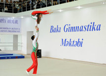 Gimnastika axşamı. Bakı, Azərbaycan, 14 oktyabr 2014