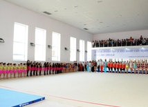 Gimnastika axşamı. Bakı, Azərbaycan, 14 oktyabr 2014