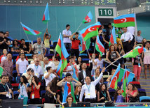 Our flag is our dignity. Baku, Azerbaijan. 2014