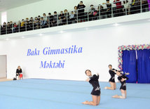 Akrobatika gimnastikası üzrə Azərbaycan Birinciliyi. Bakı, Azərbaycan, 14 noyabr 2014