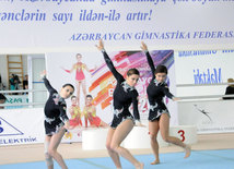 Akrobatika gimnastikası üzrə Azərbaycan Birinciliyi. Bakı, Azərbaycan, 14 noyabr 2014