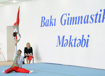 Akrobatika gimnastikası üzrə Azərbaycan Birinciliyi. Bakı, Azərbaycan, 14 noyabr 2014