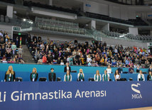 Bədii gimnastika üzrə 21-ci Azərbaycan birinciliyi, Bakı çempionatı, Bölgələrarası Kubok. Bakı, Azərbaycan, 11 dekabr 2014 