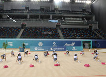 Bədii gimnastika üzrə Azərbaycan birinciliyi və Bakı çempionatı başa çatıb. Bakı, Azərbaycan, 12 dekabr 2014 