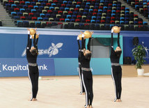 Bədii gimnastika üzrə Azərbaycan birinciliyi və Bakı çempionatı başa çatıb. Bakı, Azərbaycan, 12 dekabr 2014 