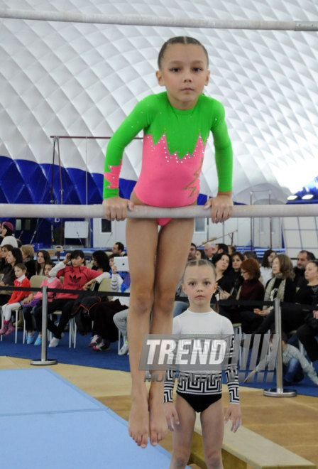 Kiçik yaşlı idmançılar arasında idman gimnastikası üzrə ilk turnir. Bakı, Azərbaycan, 19 dekabr 2014