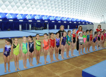 Kiçik yaşlı idmançılar arasında idman gimnastikası üzrə ilk turnir. Bakı, Azərbaycan, 19 dekabr 2014