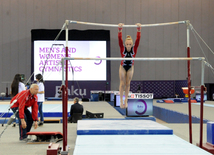 Gimnastika növləri üzrə birgə açıq Azərbaycan çempionatı. Bakı, Azərbaycan, 04 mart 2015