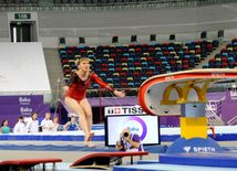 Gimnastika növləri üzrə birgə açıq Azərbaycan çempionatı. Bakı, Azərbaycan, 04 mart 2015