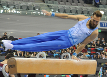 Gimnastika növləri üzrə birgə açıq Azərbaycan çempionatı. Bakı, Azərbaycan, 04 mart 2015