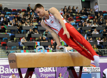 Gimnastika növləri üzrə birgə açıq Azərbaycan çempionatı. Bakı, Azərbaycan, 04 mart 2015