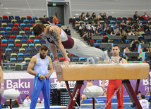 Gimnastika növləri üzrə birgə açıq Azərbaycan çempionatı. Bakı, Azərbaycan, 04 mart 2015