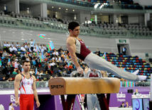 Gimnastika növləri üzrə birgə açıq Azərbaycan çempionatı. Bakı, Azərbaycan, 04 mart 2015