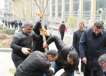 К кампании по посадке деревьев, поддерживаемой Исполнительной властью Насиминского района, подключилось более 100 молодых людей из различных мест столицы. Баку, Азербайджан, 24 апреля 2015 г.