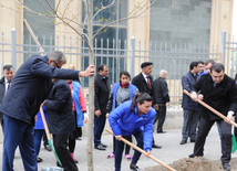 Со времени учреждения Общественного объединения IDEA в рамках широкомасштабных акций по посадке деревьев на территории страны было посажено более 4 миллионов деревьев. Баку, Азербайджан, 24 апреля 2015 г.