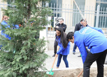 Данный процесс в настоящее время продолжается на всей территории республики в рамках проекта IDEA "Зеленый марафон". Баку, Азербайджан, 24 апреля 2015 г.