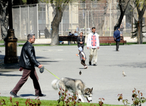 Bakı-2015: Birinci Avropa oyunları ərəfəsində. Azərbaycan, 27 aprel 2015