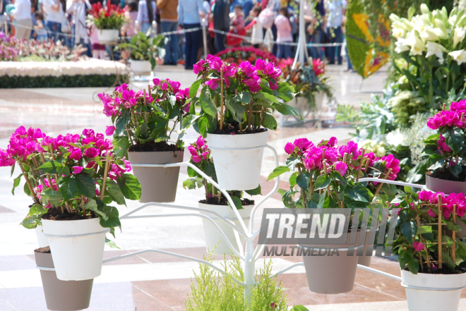 Baku hosts Flower Festival. Azerbaijan, May 10, 2015