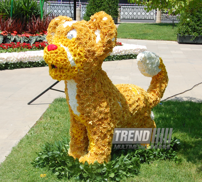 Baku hosts Flower Festival. Azerbaijan, May 10, 2015