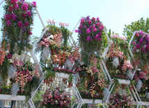 Baku hosts Flower Festival. Azerbaijan, May 10, 2015