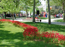 Baku hosts Flower Festival. Azerbaijan, May 10, 2015