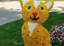 Baku hosts Flower Festival. Azerbaijan, May 10, 2015