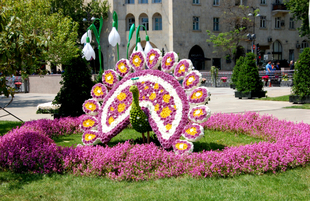 Baku hosts Flower Festival. Azerbaijan, May 10, 2015