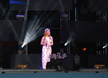 A gala concert and grandios fireworks display held in the National Park. Baku, Azerbaijan, May 10, 2015